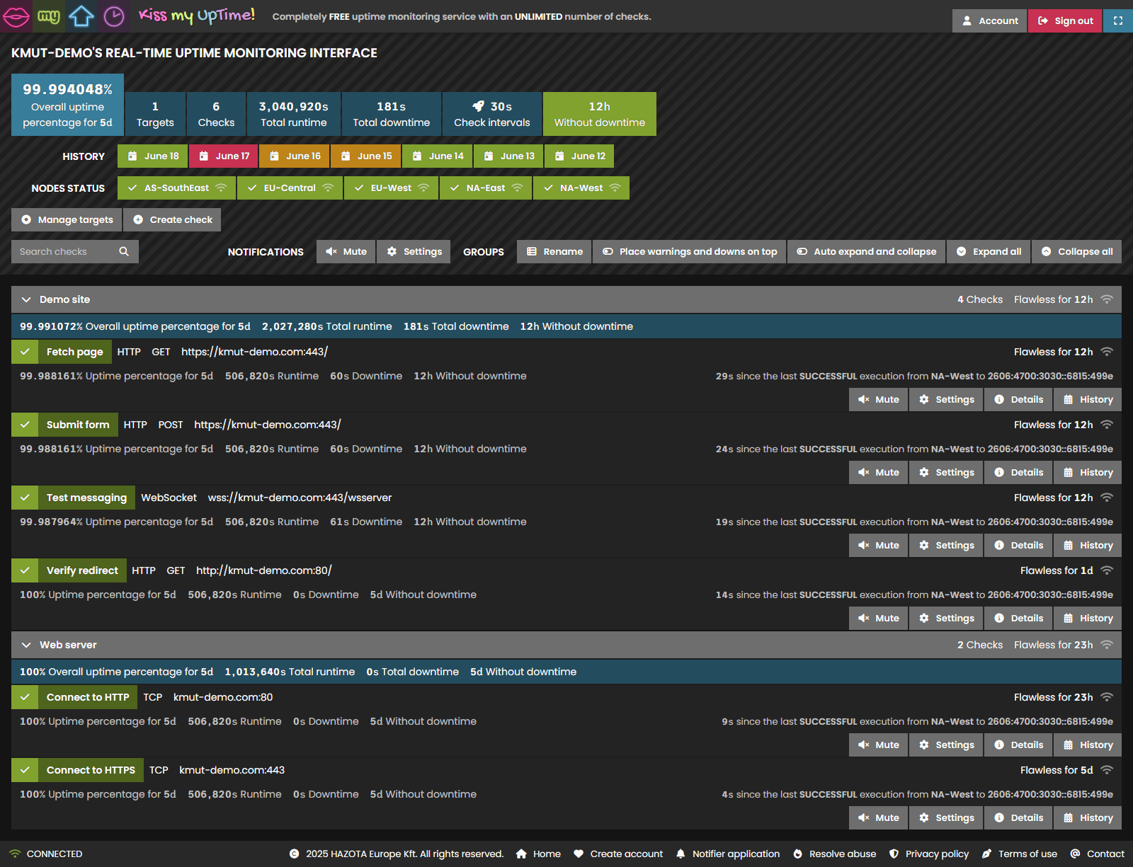The real-time uptime monitoring interface